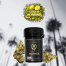 Super Lemon OG – Citrus Gas Energy