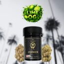 Lime OG – Citrus Gas Smoothness