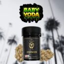 Baby Yoda – Smooth Galactic Gas