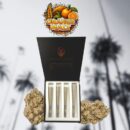 Orange Malt - 2G Pack Preroll