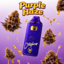 Purple Haze – Classic Head High