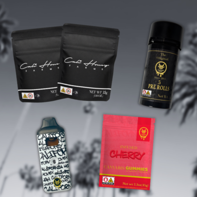 All-In-One Bundle
