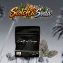 Scotch Soda - 3.5g (1/8oz) Flower