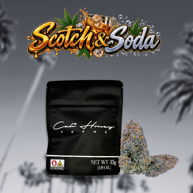 Scotch Soda - 3.5g (1/8oz) Flower